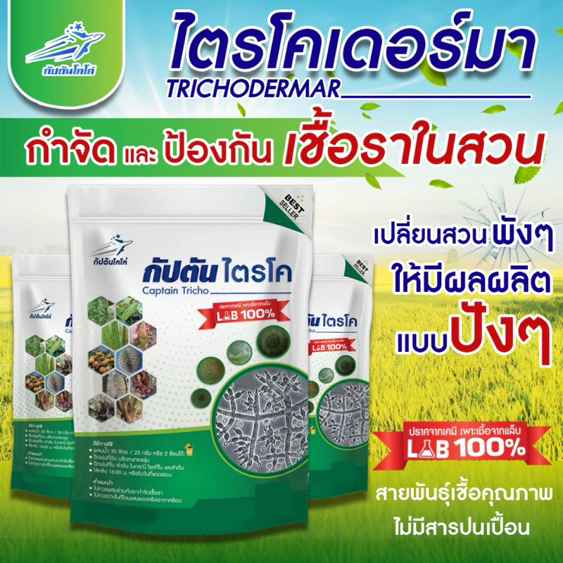 ไตรโคเดอร์มา แบบผง(500กรัม) เพาะเชื้อจากห้อง LAB พร้อมใช้ ปลอดภัย 100 %