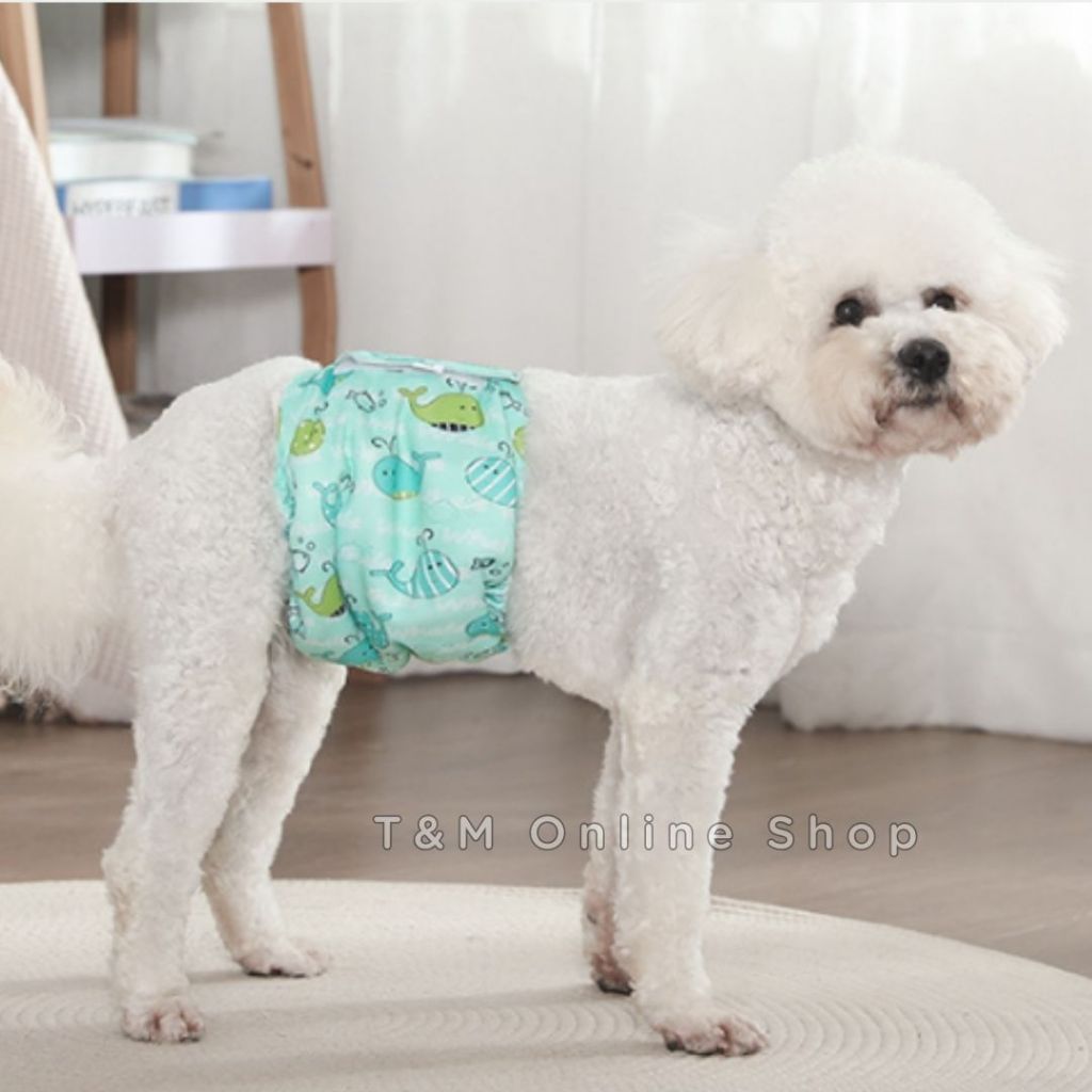 โอบิแบบซักได้ ผ้าTPUกันน้ำ+ผ้ารองซับด้านใน4ชั้น  โอบิสุนัข  ผ้าคาดเอวสุนัขตัวผู้ - รูปที่ 6