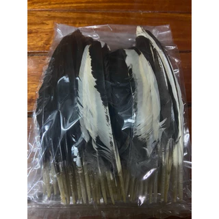 ขนต่อปีกไก่ สำหรับต่อปีกไก่ ขนแต่งปีกไก่ #ขอต่อปีก