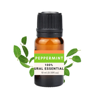 Peppermint Essential oil 100% ขนาด10 ml.