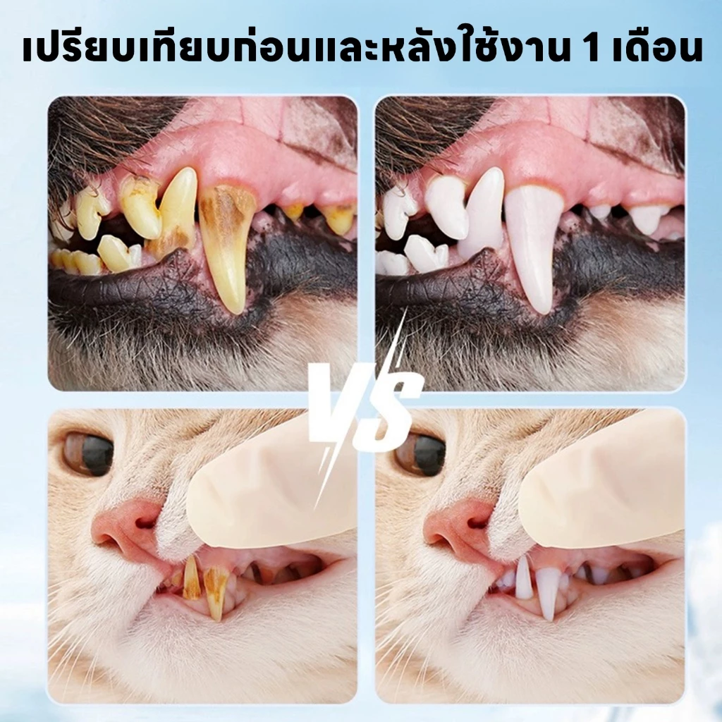 yoyopet ผ้าเช็ดฟันแมว-สุนัข 50 ชิ้น ลดหินปูน ขจัดกลิ่น ต้านแบคทีเรีย thumbnail 4