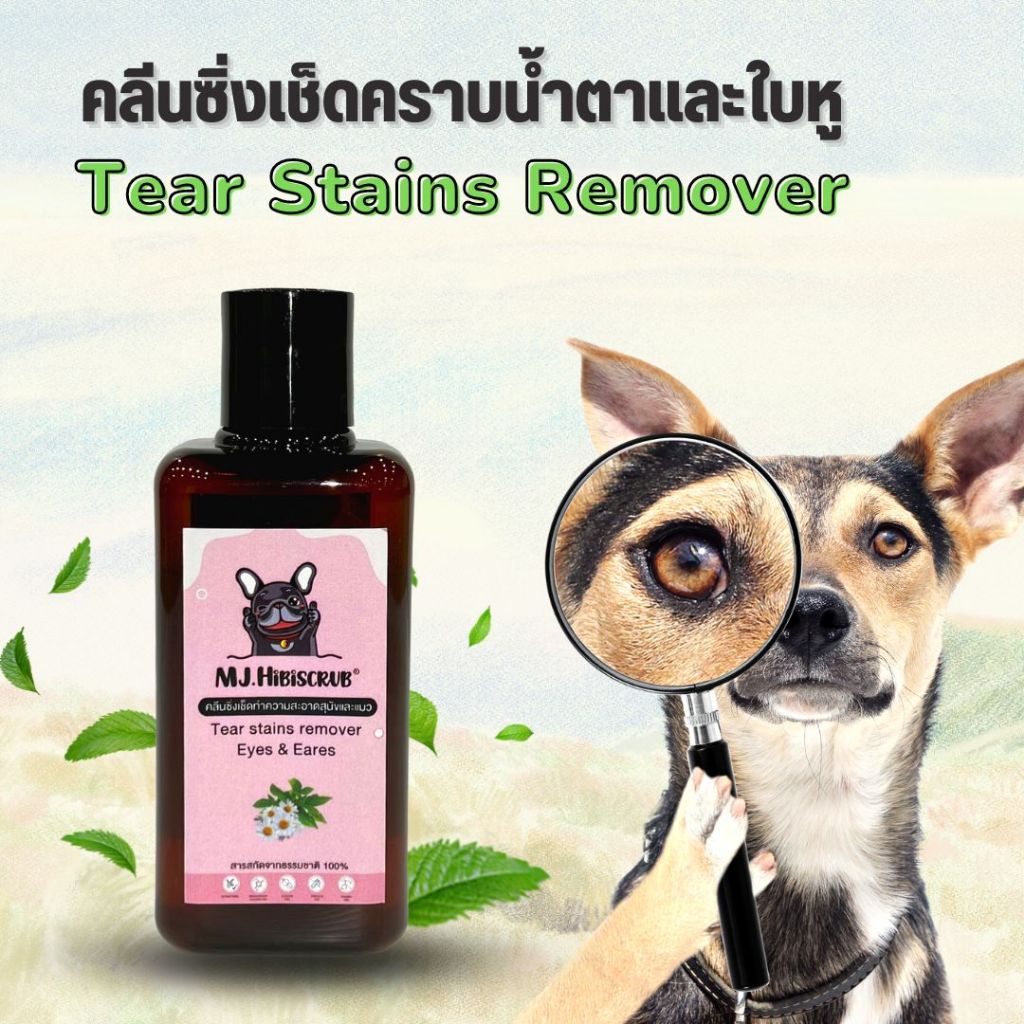 คลีนซิ่งเช็ดทำความสะอาดคราบน้ำตา เช็ดใบหู สุนัขและแมว