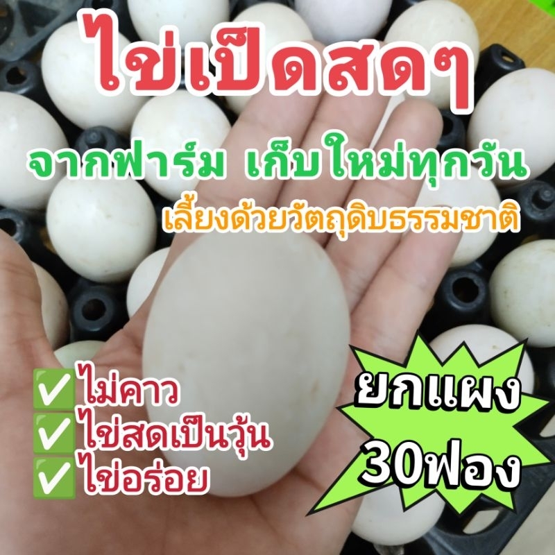 ไข่เป็ดอารมณ์ดี​ ไข่เป็ดสดๆจากฟาร์ม​ เก็บใหม่ทุกวัน (30ฟอง)