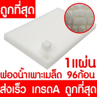*โค้ดส่งฟรี* เมล็ดผักสลัด ผักสลัด เมล็ดผัก (2,000เมล็ด+) เมล็ดพันธุ์ เมล็ดพันธุ์ผักสลัด งอกดี ปลูกผัก สลัด Clearance