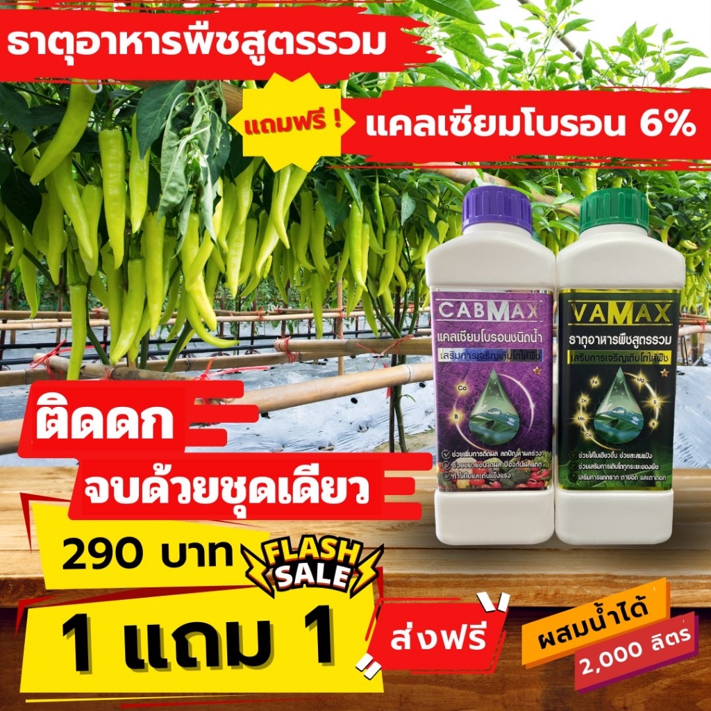 ติดดก จบด้วยชุดเดียว Vamax Cabmax ธาตุอาหารรวม + แคลเซียมโบรอน ซื้อ 1 แถม 1 โรงงานจัดส่งเองค่ะ