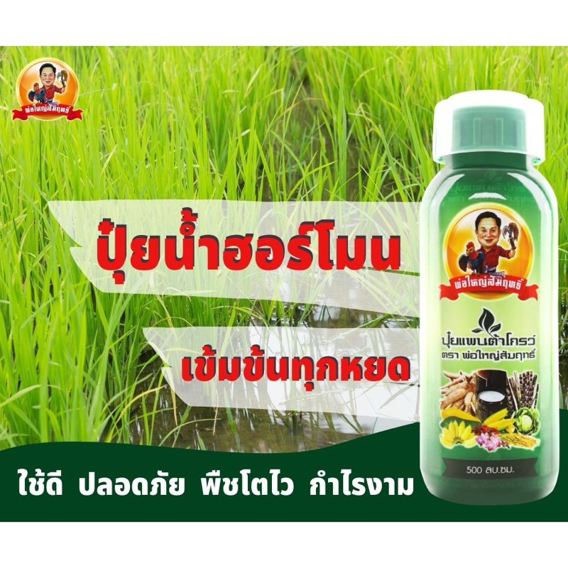 แพนต้าโกร พ่อใหญ่สัมฤทธิ์ 500cc #ปุ๋ยน้ำ