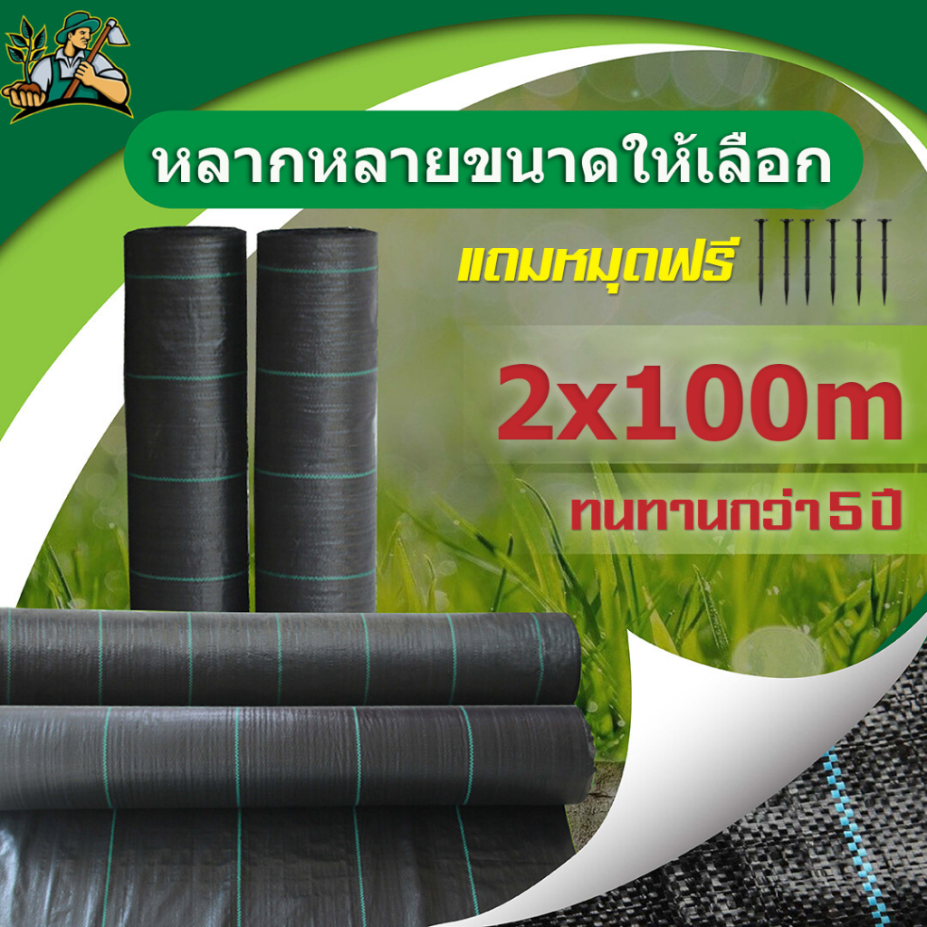 พลาสติกคลุมดิน ผ้าคลุมดิน พลาสติกคลุมหญ้า ฆ่าหญ้า 50 เมตร 100 เมตร 300 เมตรคลุมวัชพืช ผ้าคลุมหญ้า กำจัดวัชพืช วัสดุที่ย่