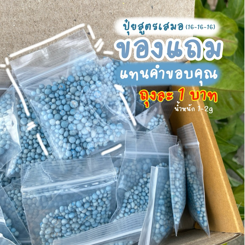 ของแถมแทนคำขอบคุณสำหรับลูกค้า ปุ๋ยสูตรเสมอบำรุงทุกส่วน(ปุ๋ยสุตร16-16-16)