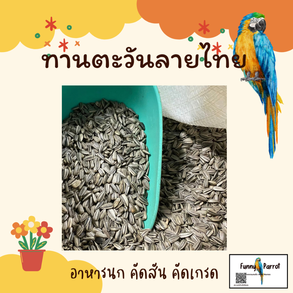 ทานตะวันนกแก้ว *เล็ก*ขนาด 1Kg. ธัญพืช อาหารนก อาหารนกเล็ก เลิฟเบิร์ด หงหยก ฟอพัส อาหารนกแก้ว ธัญพืชนก