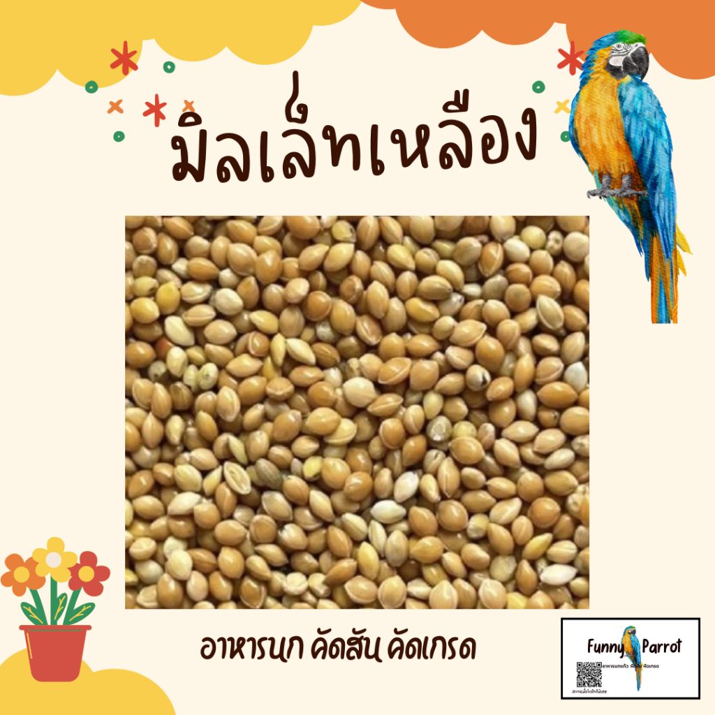 มิลเล็ต Millet เกรดA ไร้ฝุ่น (แบ่งขาย 1kg.) อาหารนก