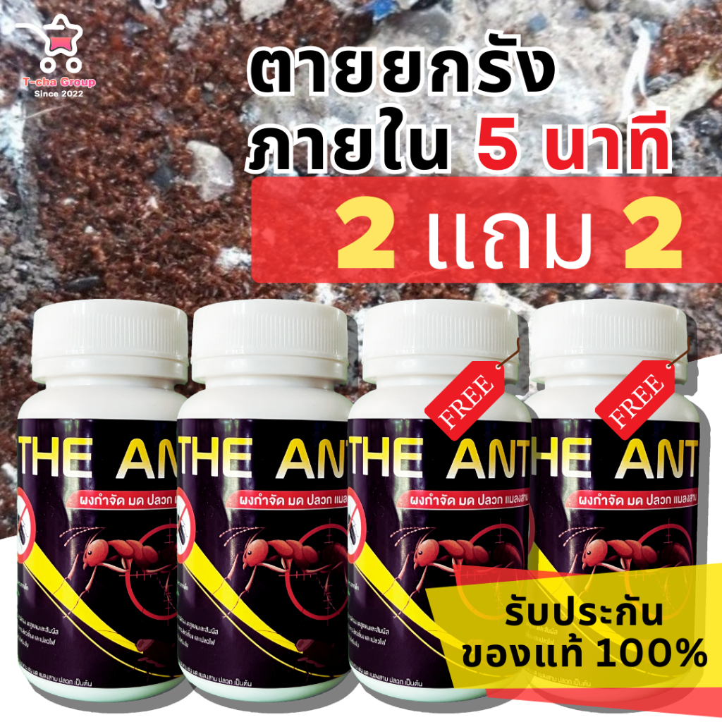ลูกค้าใหม่ลดเพิ่ม 80.- (โปร 2 แถม 2) ได้ 4 กระปุก The Ant ผงกำจัด มด ปลวก แมลงสาบ สูตรตายยกรัง ภายใน 5 นาที