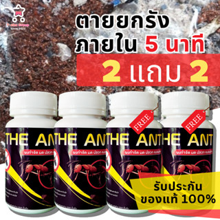 ลูกค้าใหม่ลดเพิ่ม 80.- (โปร 2 แถม 2) ได้ 4 กระปุก The Ant ผง…
