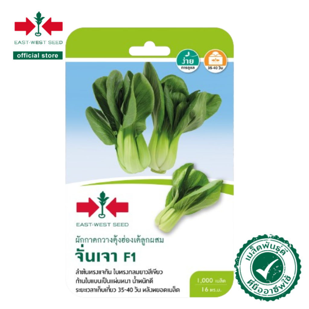 ศรแดง เมล็ดพันธุ์ผักกาดกวางตุ้งฮ่องเต้ลูกผสม F1 จั่นเจา (East-West Seed) เมล็ดพันธุ์ ผักสวนครัว ตราศรแดง