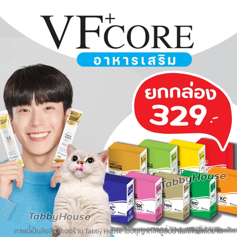 ถูกที่สุด!! ยกกล่อง 30 ซอง ขนมแมวเลีย VFcore ไลซีน, บำรุงเลือด, บำรุงข้อต่อ 30ซอง/กล่อง