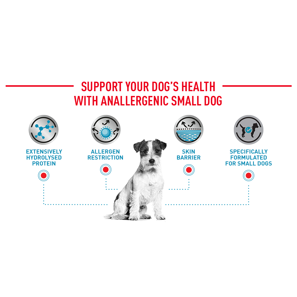 Royal Canin Anallergenic Small Dog 1.5 kg อาหารสุนัขพันธุ์เล็กที่มีภาวะแพ้อาหาร ในภาวะแพ้มาก ขนาด 1.5 กิโลกรัม - รูปที่ 3