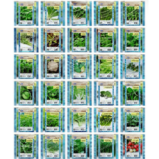 ผักสวนครัว เมล็ดผักสวนครัว เจียไต๋