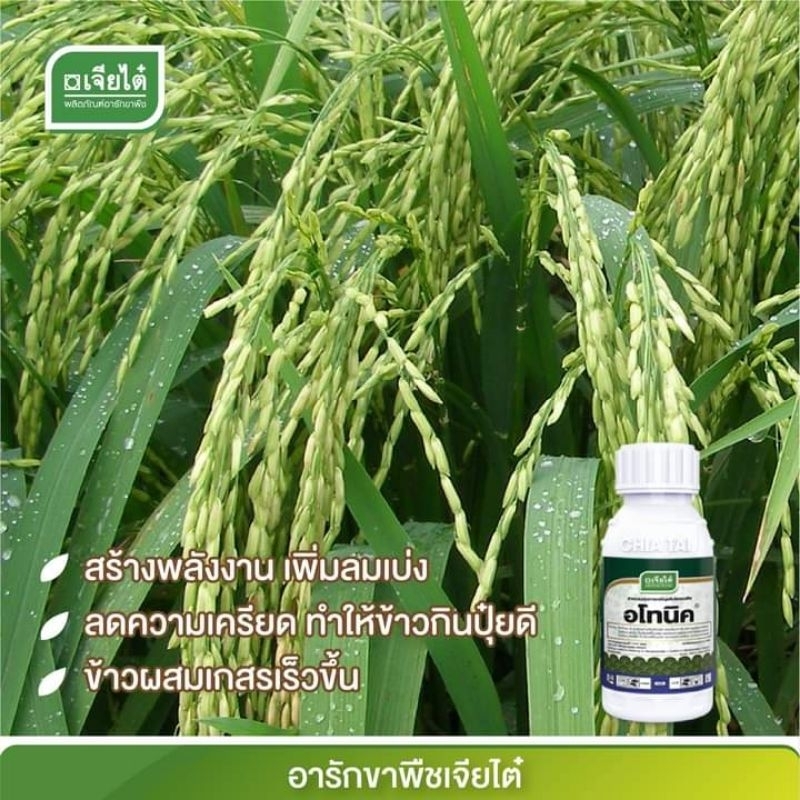 อโทนิค​ 100ซีซี  100มิลลิลิตร ของแท้ จาก เจียไต๋