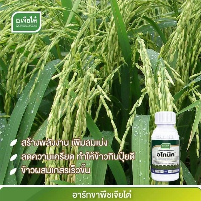 อโทนิค​ 100ซีซี 100มิลลิลิตร ของแท้ จาก เจียไต๋