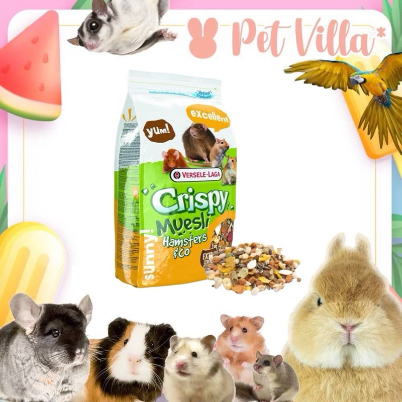 อาหารแฮมเตอร์ Crispy muesli