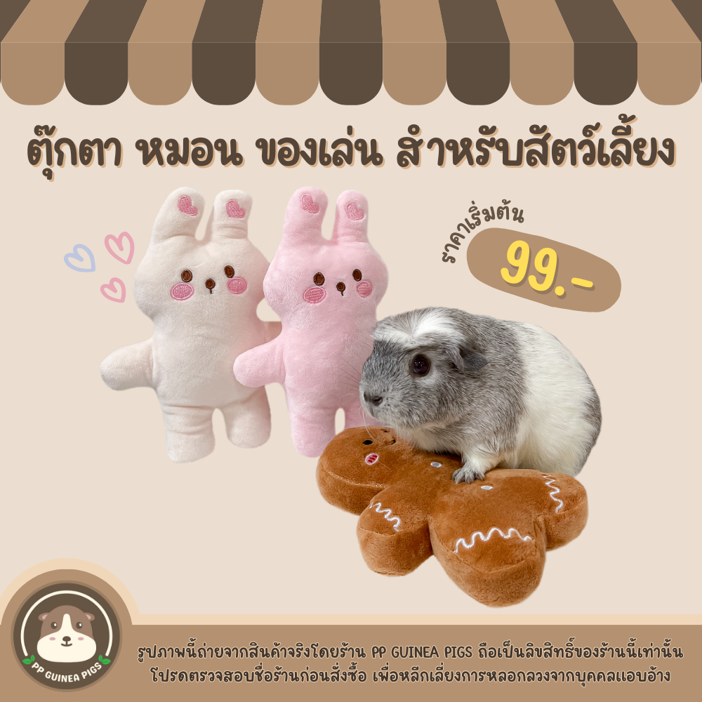 pp.guineapigs ตุ๊กตา หมอน ของเล่น สำหรับแกสบี้ กระต่าย สัตว์เลี้ยงขนาดเล็ก