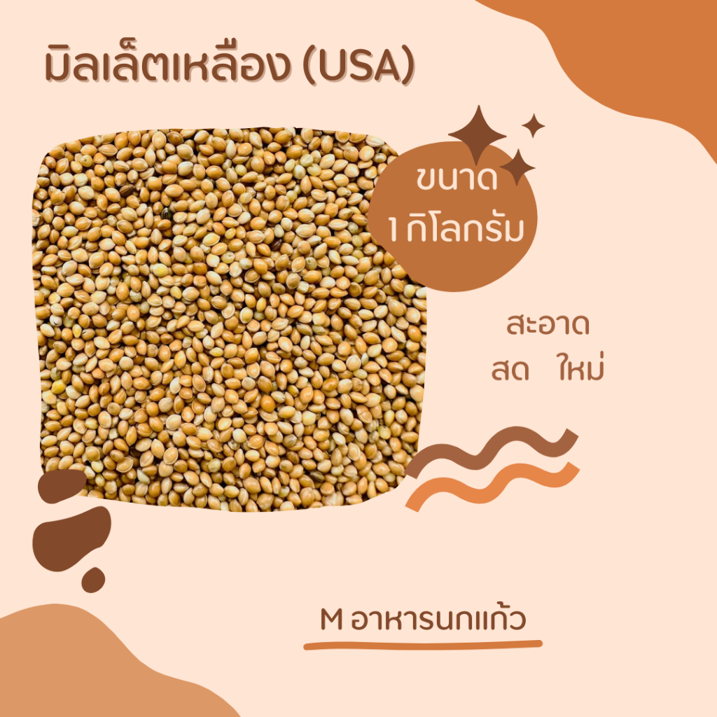 yellow millet อาหารเสริมสำหรับนกทุกชนิด (แบ่งขาย 500G / 1KG)