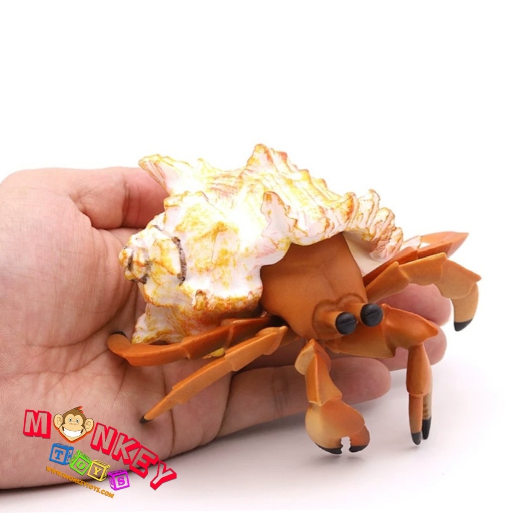 Monkey Toys - โมเดลสัตว์ Hermit Crab ปู เสฉวน ครีมแหลม ขนาด 12.00 CM (จากหาดใหญ่)