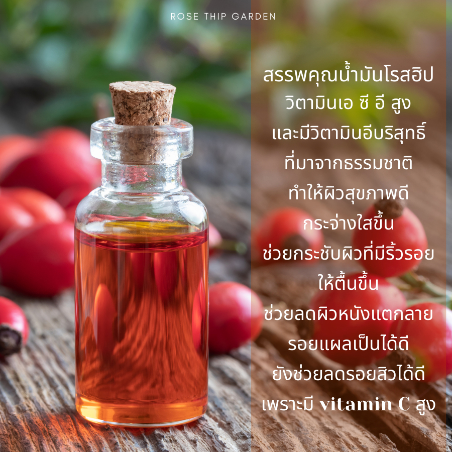 น้ำมันโรสฮิป เข้มข้นสกัดเย็น 100% l COLD-PRESSED l ROSEHIP OIL 100% | By Rose Thip Garden - รูปที่ 2