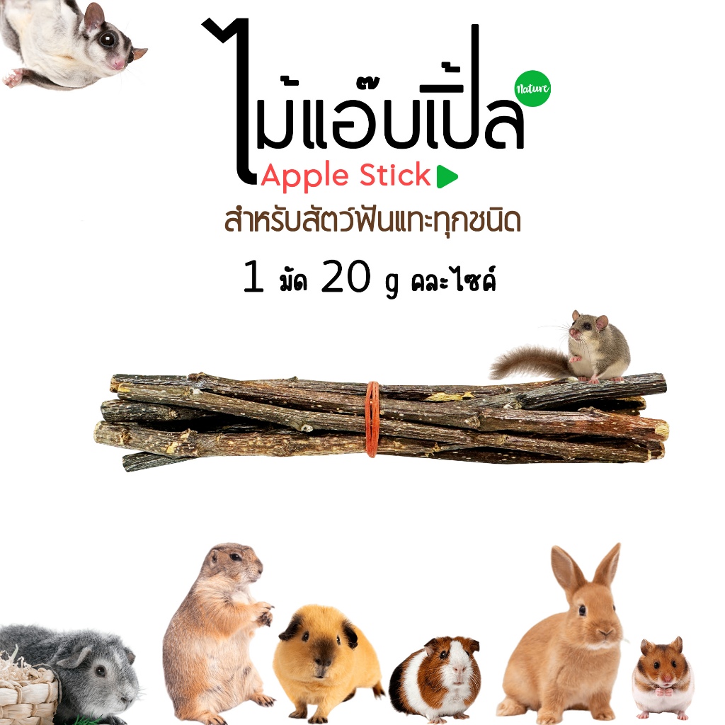 ไม้แอ๊บเปิ้ลลับฟันสำหรับสัตว์ฟันเเทะทุกชนิด 1 มัด 20 g