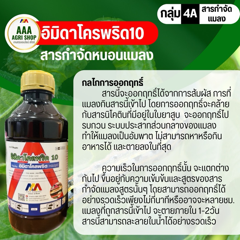 อิมิดาโคลพริด10 เอสแอล ป้องกันกำจัด เพลี้ยต่างๆ เช่น เพลี้ยไฟ เพลี้ยไก่แจ้ เพลี้ยจักจั่น เพลี้ยอ่อน และเพลี้ยต่างๆ - รูปที่ 4