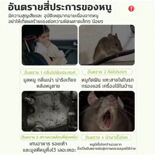 สเปรย์ไล่หนู สูตรเข้มข้น 500ml ของแท้ มีประสิทธิภาพและประสิทธิผล ป้องกัน ขับไล่หนู ไม่ให้มาบริเวณที่คุณต้องการ