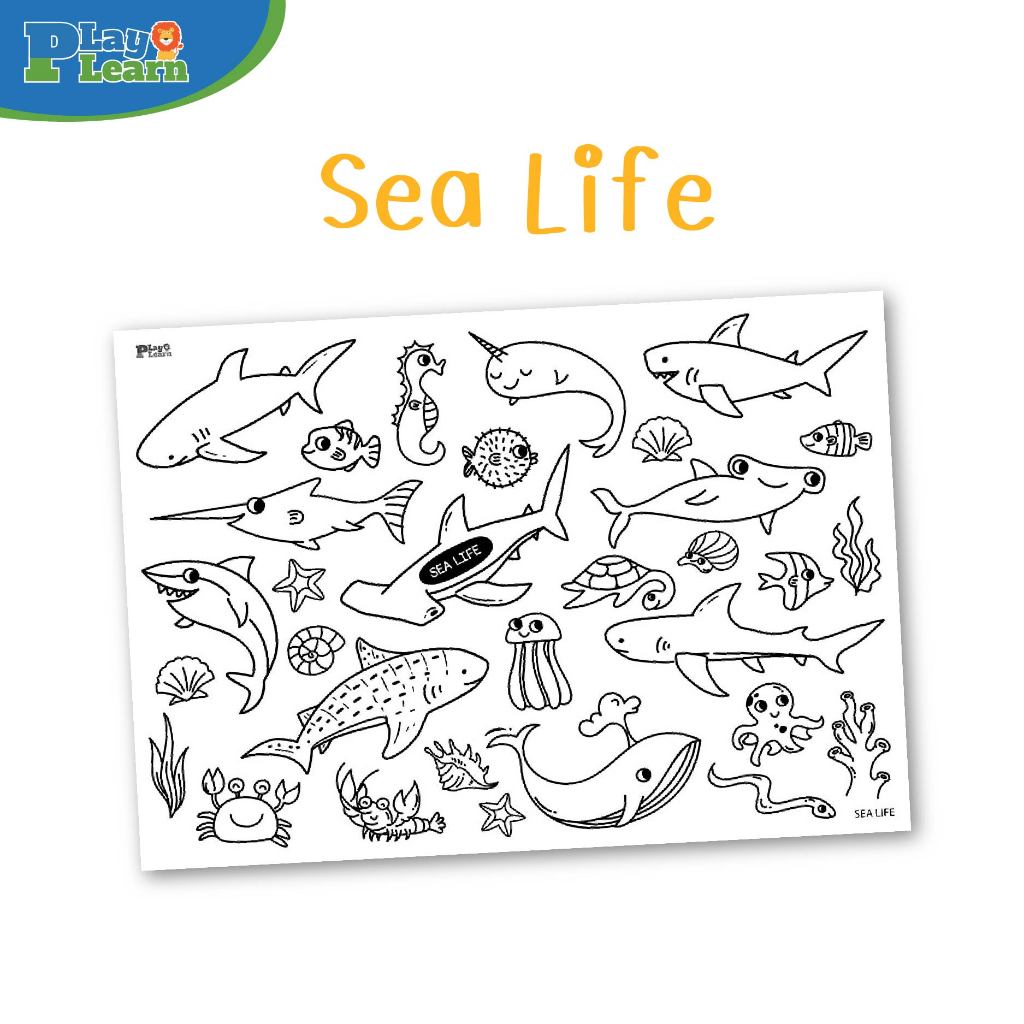 Play Plearn Kid รวมเซตสินค้าโปสเตอร์, กระดาษ, สมุดระบายสีขายดี - รูปที่ 5