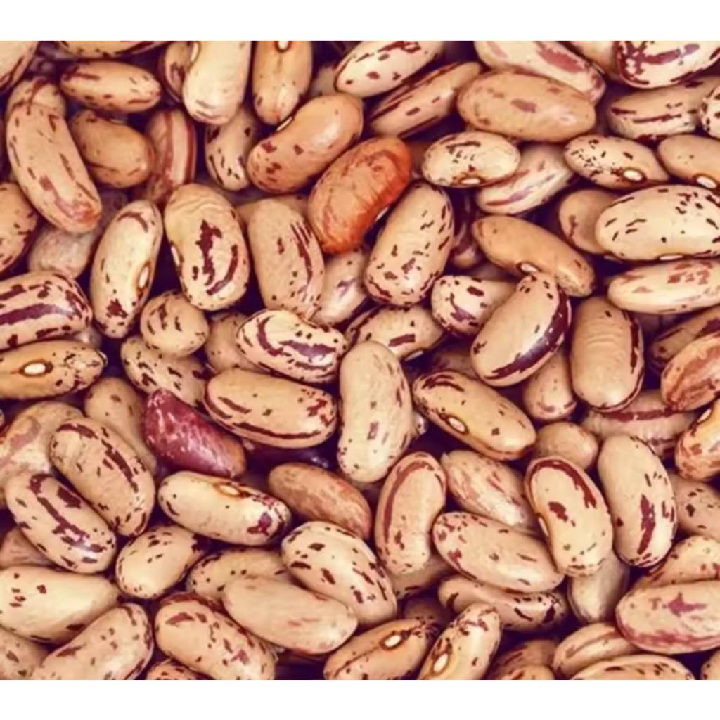 Rajma Chitra 500g Pinto Beans ถั่วปินโต
