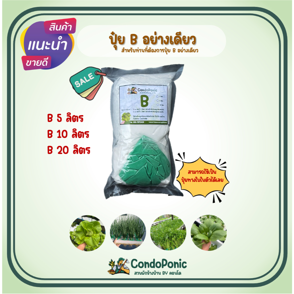 ปุ๋ย B อย่างเดียวชนิดแห้ง สำหรับผักไฮโดรโปนิกส์ทั้งผักไทยและผักสลัด ใช้ได้ทั้งน้ำนิ่งและน้ำวน
