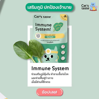 Cat’s Taste Premium Healthy Pouch ❤️🐱 แคท เทส อาหารเปียกพรเมี่ยมสูตรเฮลตี้ สำหรับแมวบรรจุ 70g