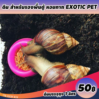 ดินเลี้ยงทาก หอยทาก ดินรองพื้นตู้ Vivarium Exotic pet ลิตรละ 50 บาท
