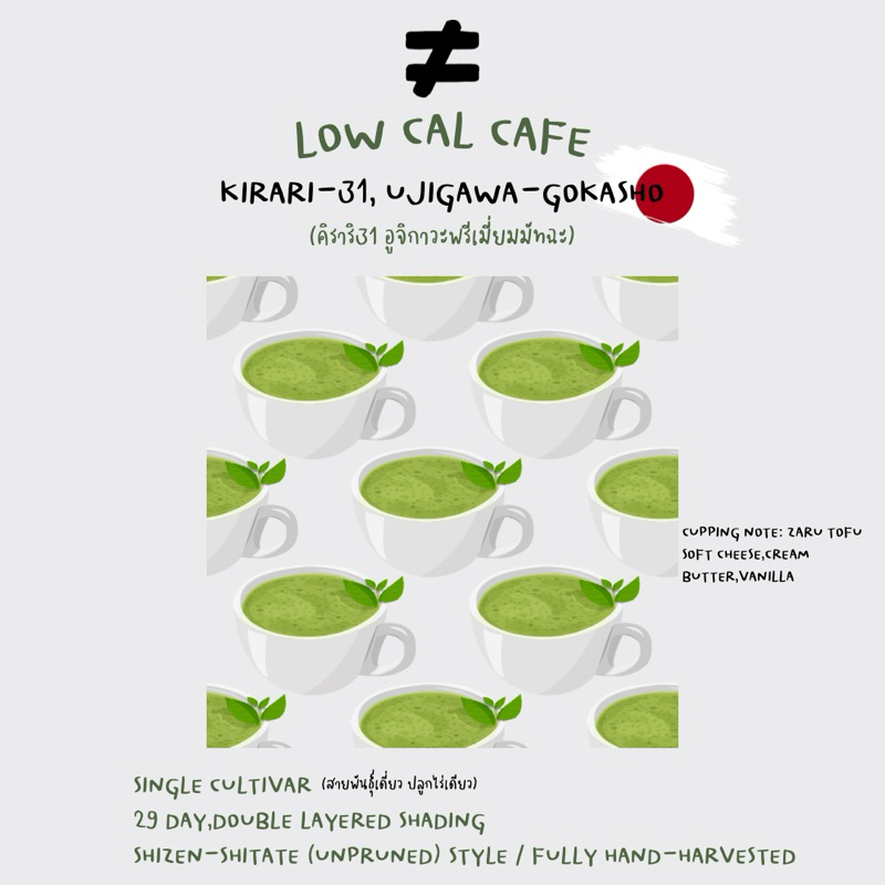 Ceremonial Grade “KIRARI-31 UJIKAWA,GOKASHO” ผงมัทฉะแท้จากประเทศญี่ปุ่น