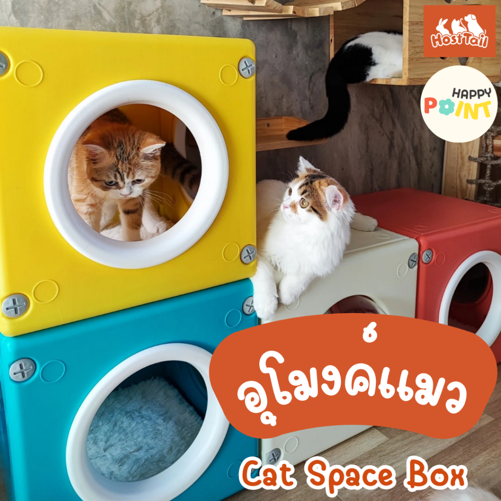 HostTail Cat Space Box อุโมงค์แมว