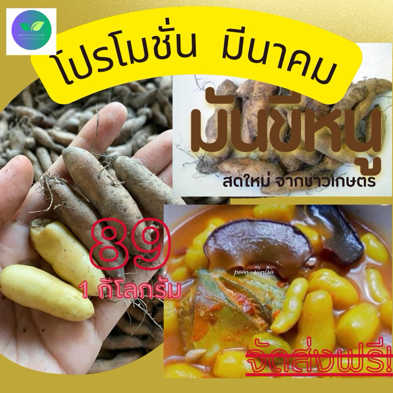 มันขี้หนู หรือ หัวมัน ดิบ ขนาด 1 กิโลกรัม