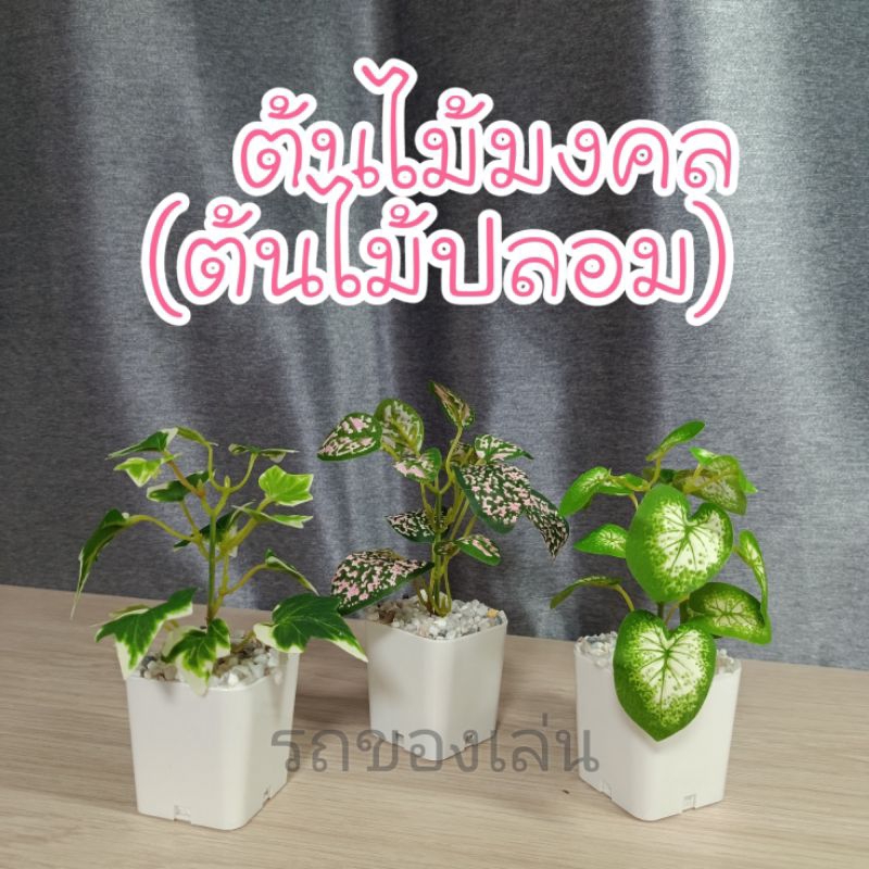 ต้นไม้ปลอม ต้นไม้มินิมอล ต้นไม้มงคล แต่งโต๊ะทำงาน แต่งบ้าน แต่งห้อง ต้นไม้จิ๋ว