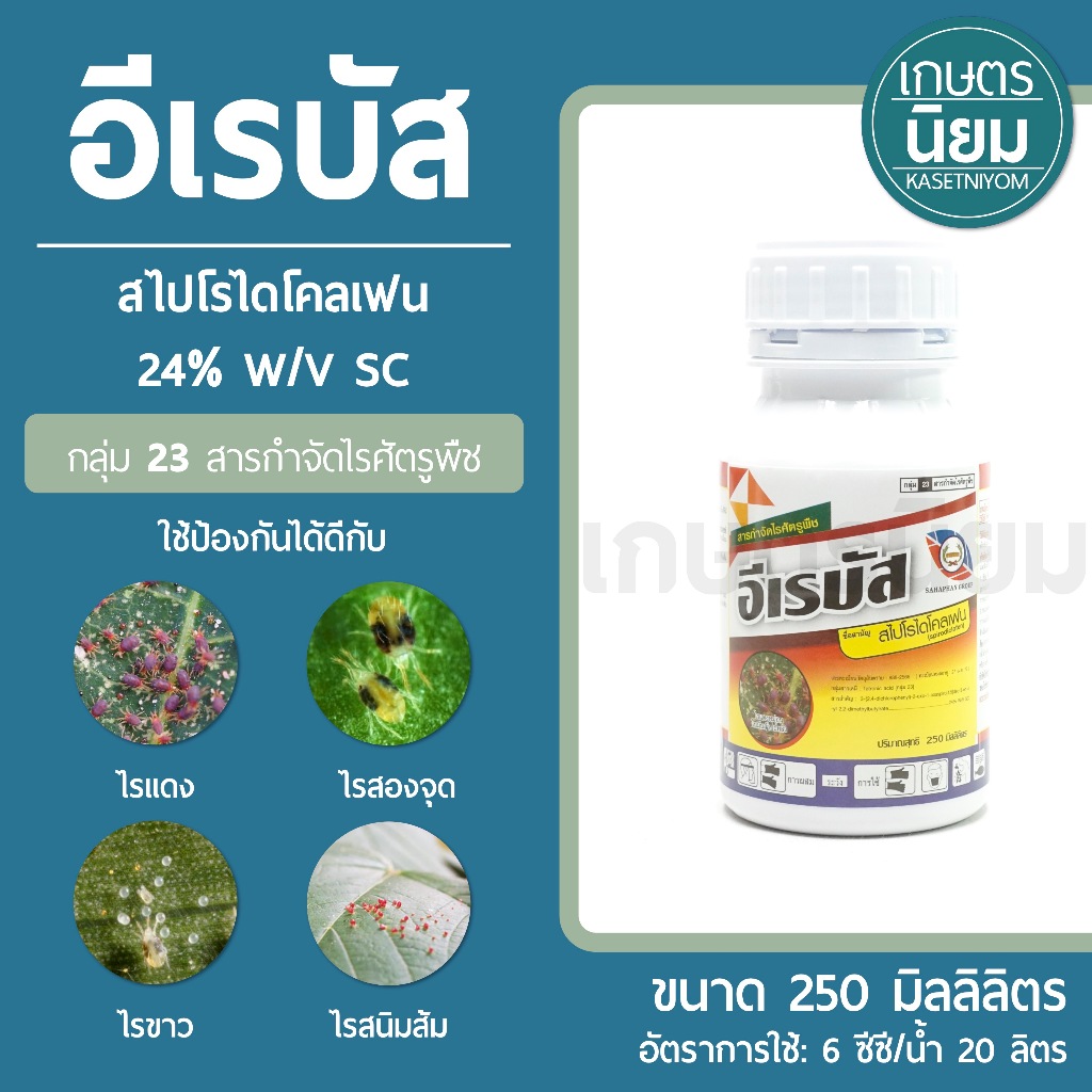 อีเรบัส (สไปโรไดโคลเฟน 24% W/V SC) 250 ซีซี สารกลุ่มเดียวกับโอเบรอน