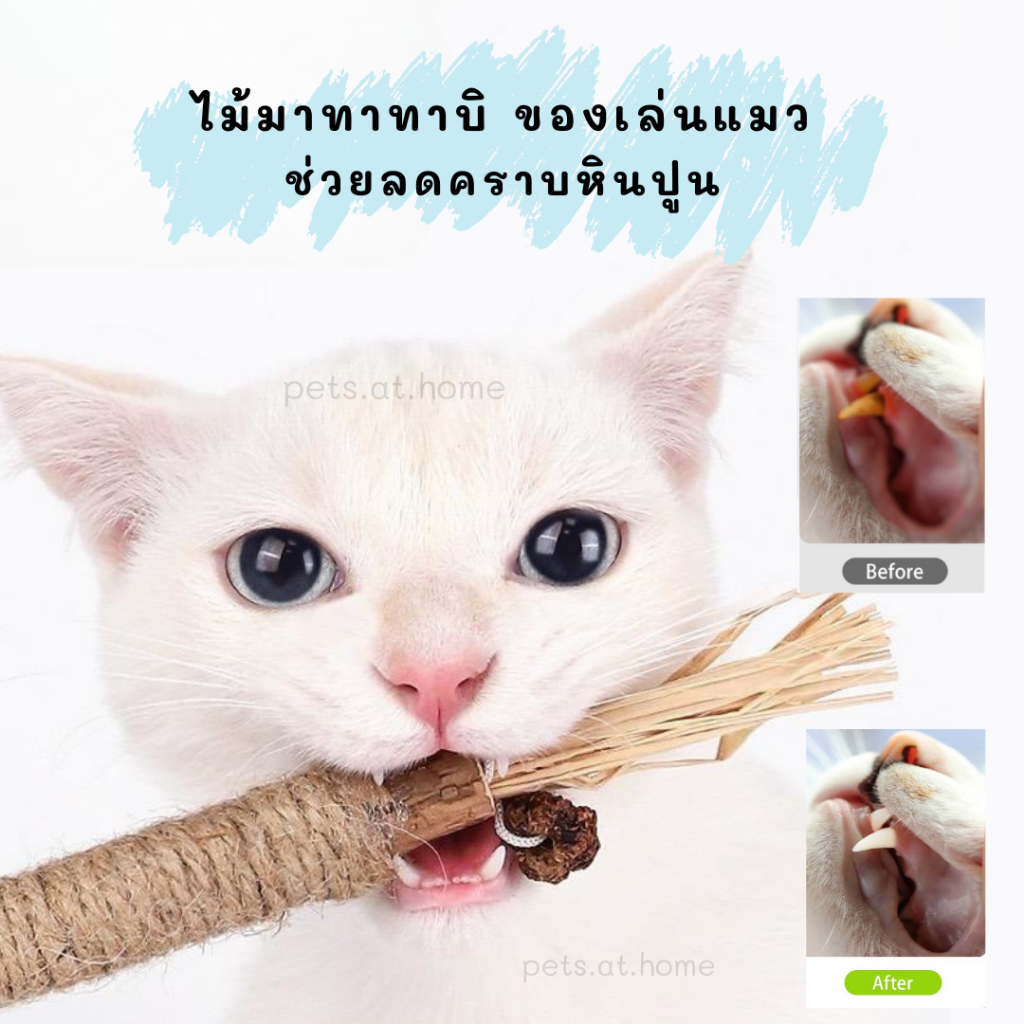 ไม้ขัดฟันแมว มาทาทาบิ กัญชาแมว แคทนิปญี่ปุ่น ของเล่นแมว ลดคราบหินปูด ทำให้แมวมีความสุขและอารมณ์ดี