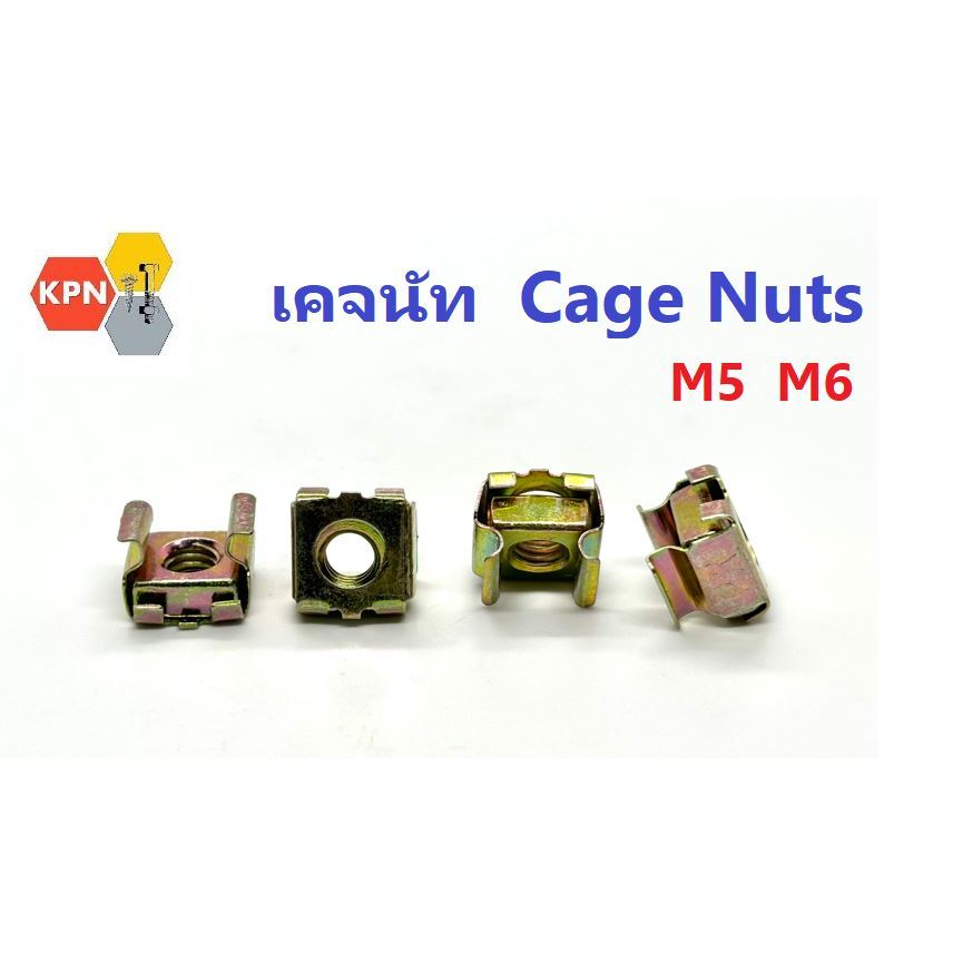 เคจนัท ชุบรุ้ง M5 M6  น็อตยึดแร็ก แผ่นบอร์ด  หัวน็อตแร็ค  Rack Fixing Cage Nuts
