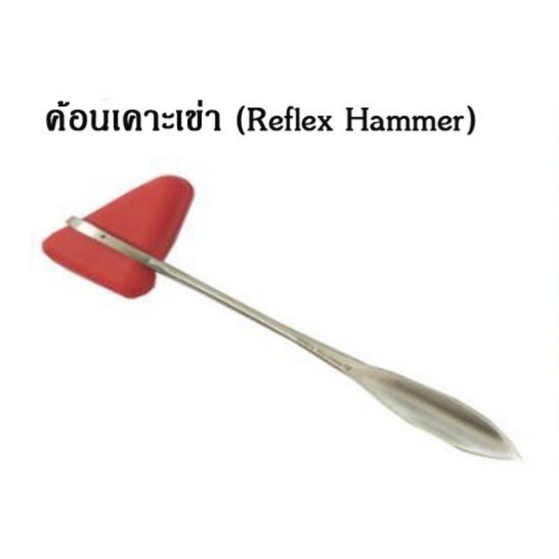 ไม้เคาะเข่า Reflex Hammer ขนาด 18 CM ใช้ในทางการแพทย์