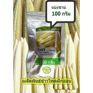 ข้าวโพดฝักอ่อน SG17 ซุปเปอร์ ข้าวโพดแอ้ ลูกผสม Syngenta แบ่ง…