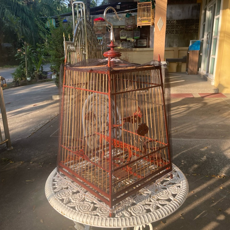 ผ้ามุ้ง ผ้ากันหวาบ ผ้าหวาบ มี 11/11สูง/13/13สูง/15/17/19/21/23 ซี่ ผ้ามุ้ง - รูปที่ 3