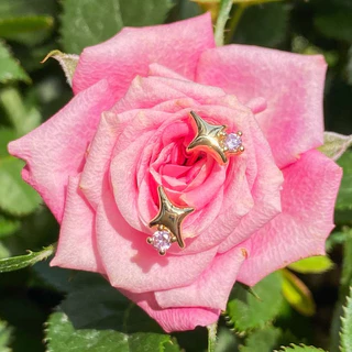 Sparkle star earrings ✨💖🎀🎄ราคาต่อคู่