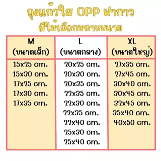 ถุงแก้วฝากาวOPP ขนาดใหญ่ (แพ็ค100ใบ) ซองพลาสติกใส จัดส่งทั่วประเทศ