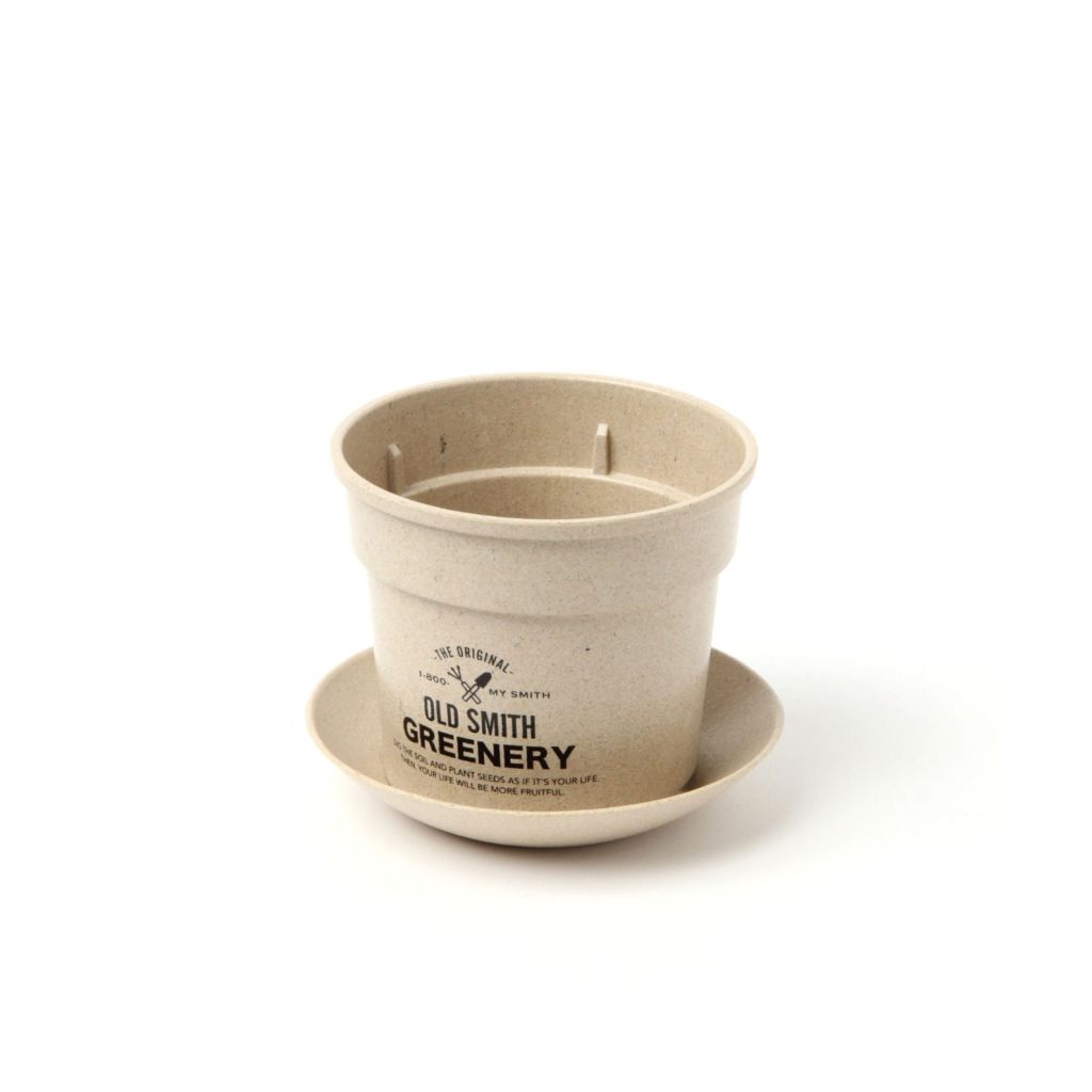 [OLD SMITH GREENERY] M size with pot saucer