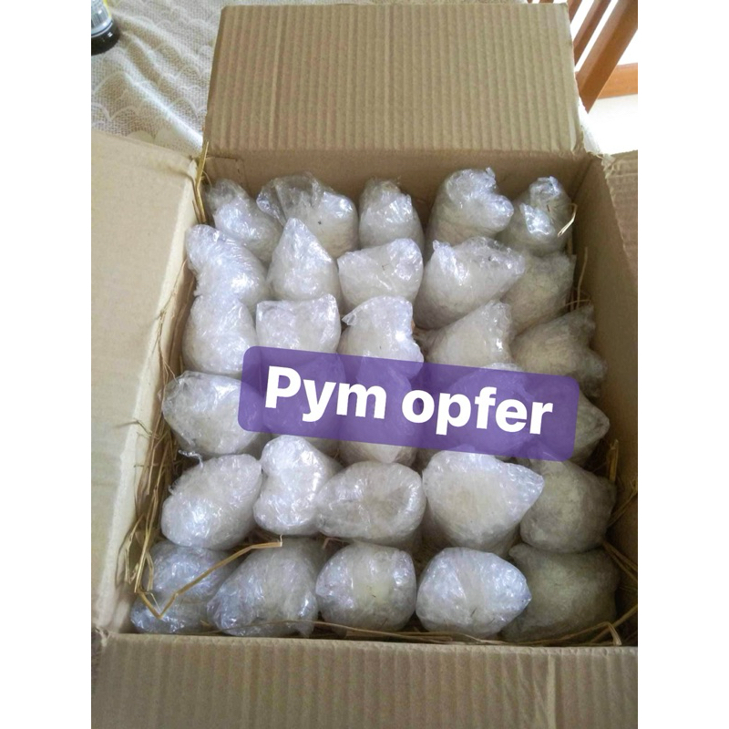 ‼ส่งด่วน!มีราคาส่ง!ไข่ลูกเป็ดเวียดนๅม30ฟอง(ไข่ดิบ)ระยะ2 รูปที่ 7