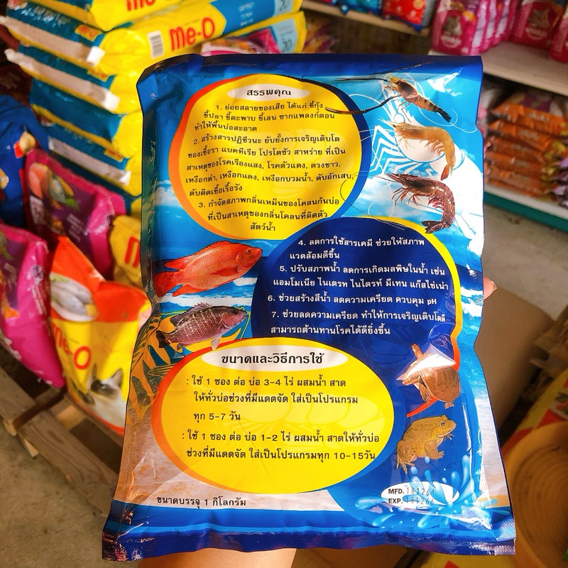 รูปภาพ 6